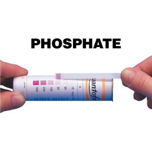Bandelettes réactives Phosphate